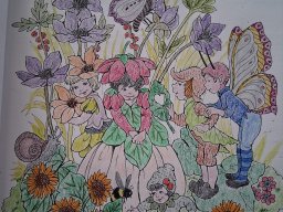 whatsapp bild 2025-09-06 um 18.35.08_12771cff